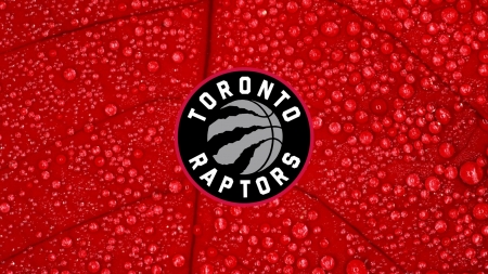 Toronto Raptors - basketball, toronto raptors, logo, sport, toronto, raptors, canadian team, canada, nba, emblem