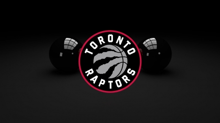 Toronto Raptors - basketball, toronto raptors, logo, sport, toronto, raptors, canadian team, canada, nba, emblem