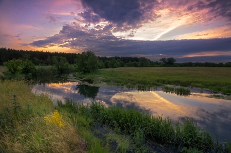 Landscape nature