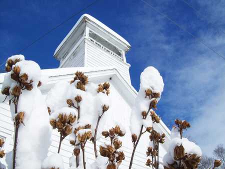 Snow Covered - trees, blue, snow, flowers, black, countryside, white, green, cloud, leaf, rust, sky, building