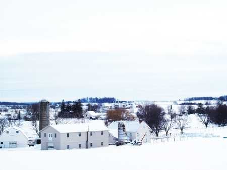 Winter Wonderland - trees, blue, road, snow, church, flowers, black, countryside, white, green, cloud, leaf, rust, sky, building