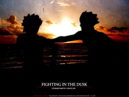 Fighting in the dusk - in, dusk, the, fighting