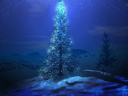 GLITTERING CHRISTMAS TREE - winter, night, glittering, tree, christmas