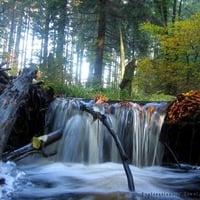 Unique Waterfall