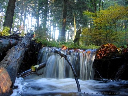 Unique Waterfall - flowers, trees, water, river