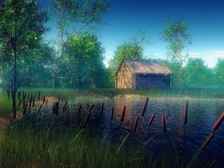 SIMPLE LIFE - plank, graphic, house, pond, grass