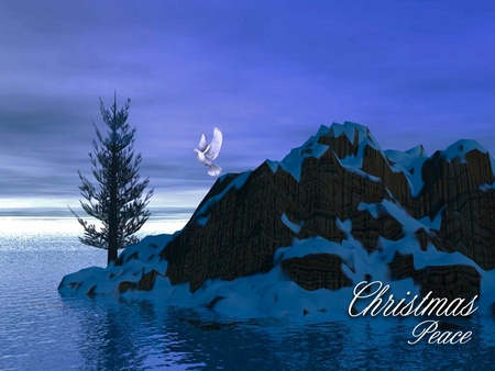 Christmas Peace - moon, bird, winter, dove, snow, sea, holidays, night, tree, x-mas