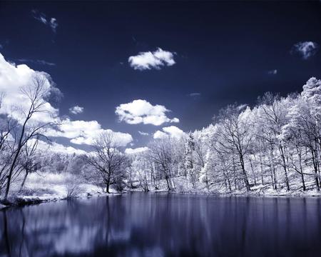 Winter scenery - sky, landscape, trees, white, nature, lakes, clouds, snow, scenery