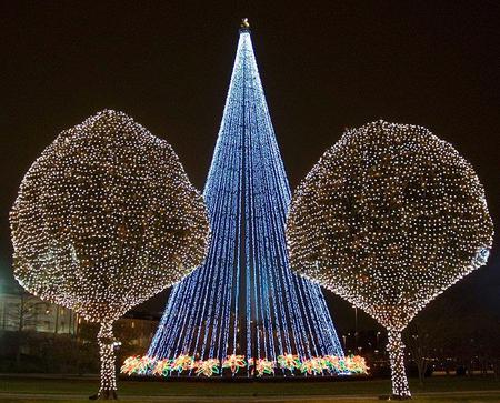 Lights - trees, abstract, light