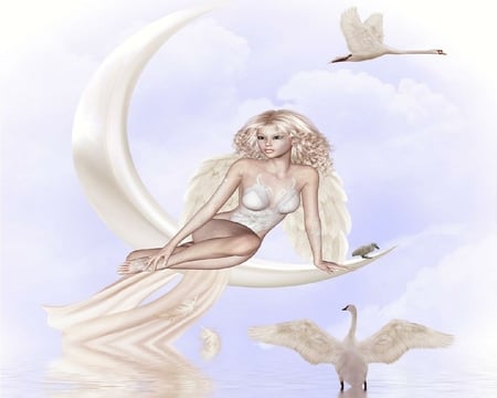 Swanlake - moon, swanlake, fairy