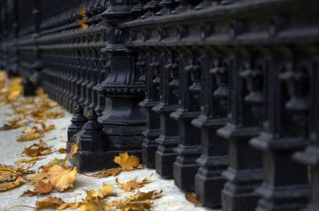 true perspective - perspective, black, leafs, yellow