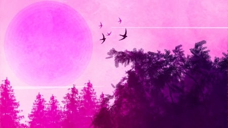 Pink moon - pink, black, bird, silhouette, night, luna, fantasy, moon, pasari, luminos, 0l-fox-l0