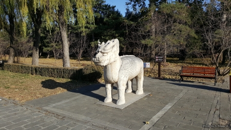 Makam Ming (The Ming Tombs) - stone, beijing, ming, china, tombs, trees, shadow, makam