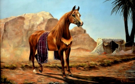 Desert Storm - sand, horse, storm, tent, desert