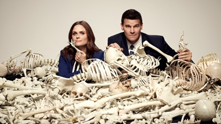 Bones ( 2005 - 2017 ) - skull, actress, bones, couple, tv series, david boreanaz, emily deschanel, actor, skeleton