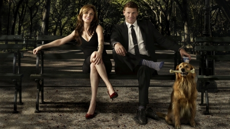 Bones ( 2005 - 2017 ) - woman, bones, couple, tv series, bench, david boreanaz, emily deschanel, man, dog, actor, bone