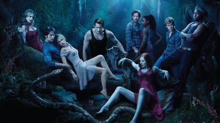 True Blood ( 2008 - 2004 ) - stephen moyer, charlaine harris, actress, tv series, all, vampire, werewolf, witch, anna paquin, actor, alexander skarsgard, true blood