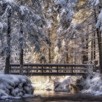 WINTER WALK BRIDGE