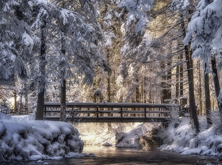 WINTER WALK BRIDGE