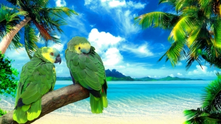 Green Parrots - ocean, parrots, branch