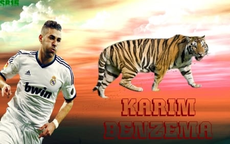 Karim Benzema - French, Real Madrid CF, karim benzema, tiger, Karim Benzema, real madrid, Soccer, football, Footballer