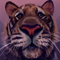 Tiger cub
