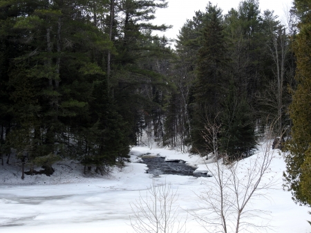 Snowy Creek - nature, forest, snow, photography, winter, creek