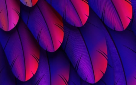 Feathers - colorful, abstract, feathers, 3d