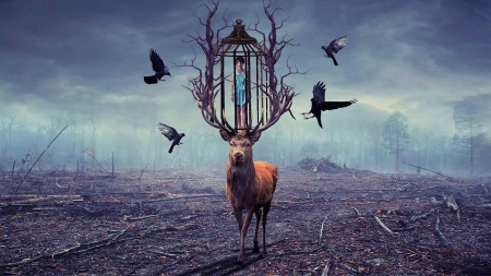 Deer Cage - girl, birds, art, twilight