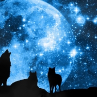 Howling the Moon