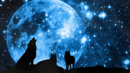 Howling the Moon - night, art, stars, wolves