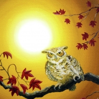 owl in autumn