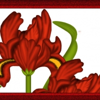 Ruby Flower-Ruby Frame