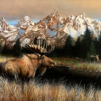 Teton Majesty