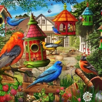 Bird House Garden