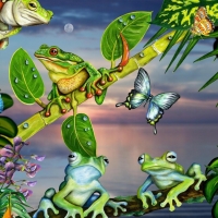 Frogs by the sea