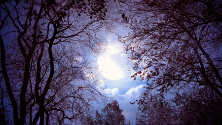 full moon