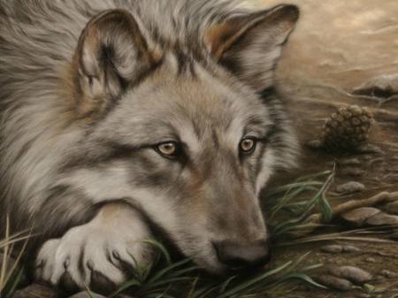 WOLF - ART, IMAGE, WOLF, ABSTRACT