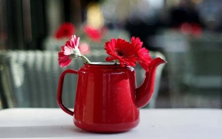 Still life - flowers, red, still life, jug