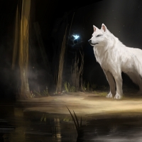 The white wolf and the magical bird