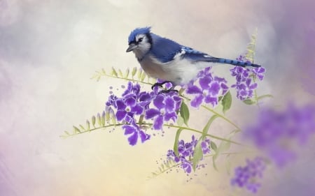 Little bird - branches, flowers, bird, 3d