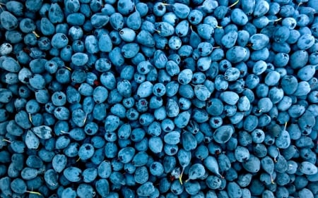 Blueberries - skin, fruit, blueberry, texture