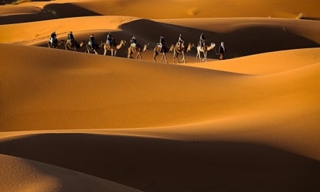 desert beauty - beauty, photo, nature, desert