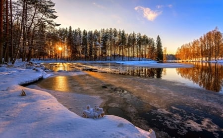 winter scene - scene, winter, sunset, photo