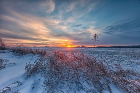 winter sunsets - winter, nature, sunset, photo