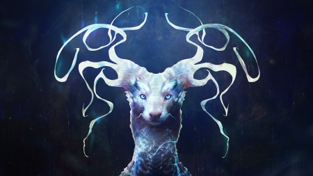 Fantastic creature - creature, fantasy, white, blue, art, luminos, horns