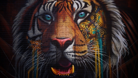 Graffiti - blue, graffiti, dimitar belchev, tigru, orange, art, tiger, wall