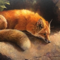 Fox