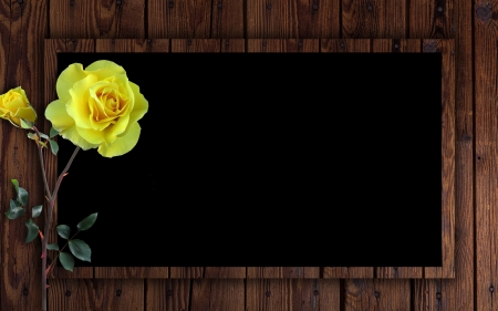 :-) - black, frame, yellow, wood, brown, rose, card, flower