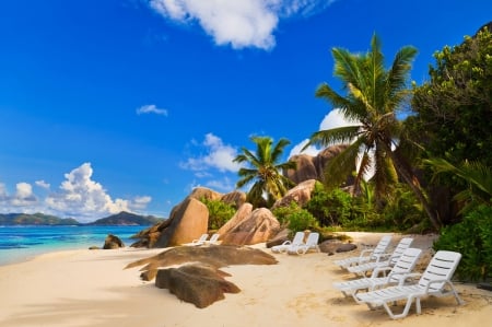 Exotic sea beach - beach, coconut trees, lounge chairs, sea, rocks